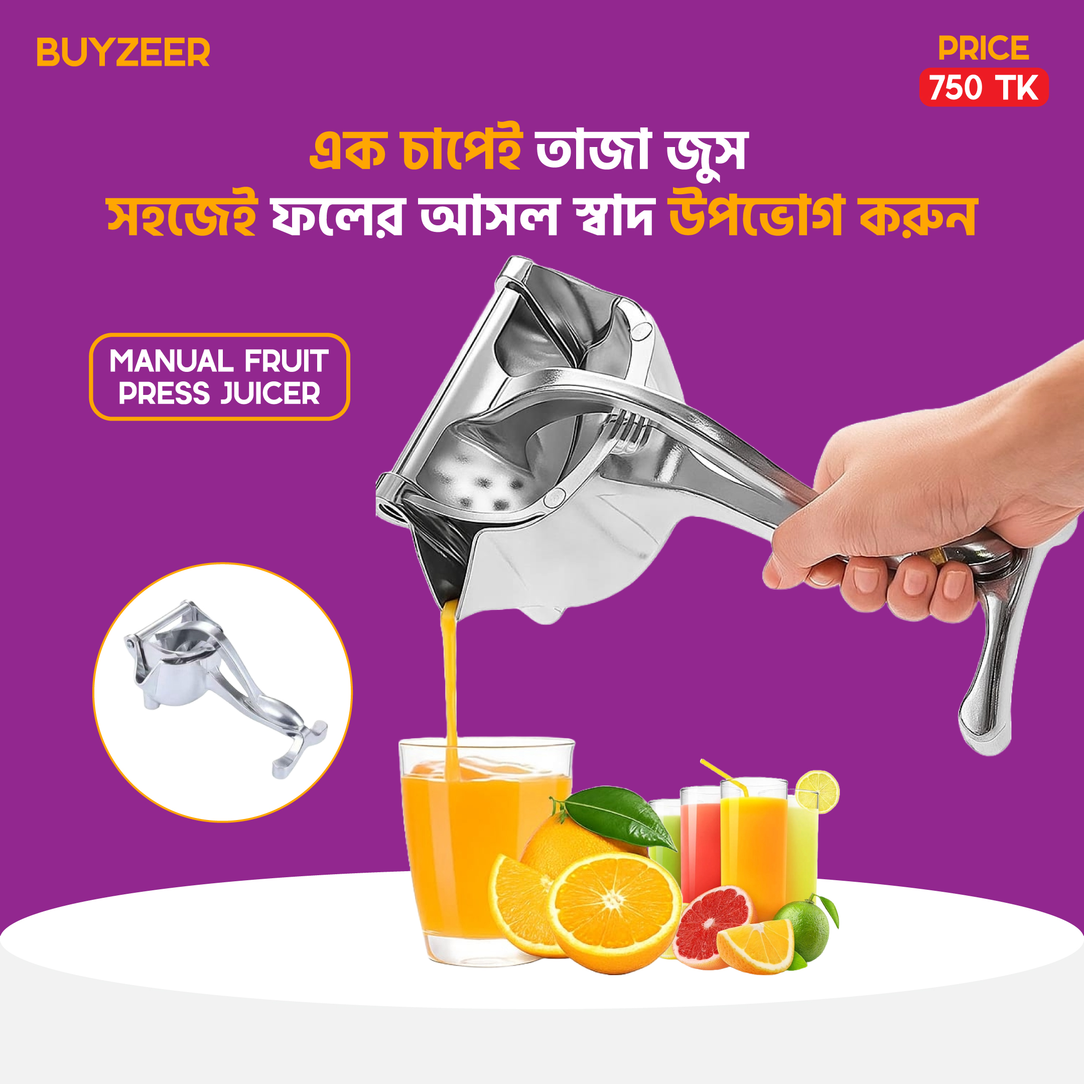Manual Fruit Press Juicer